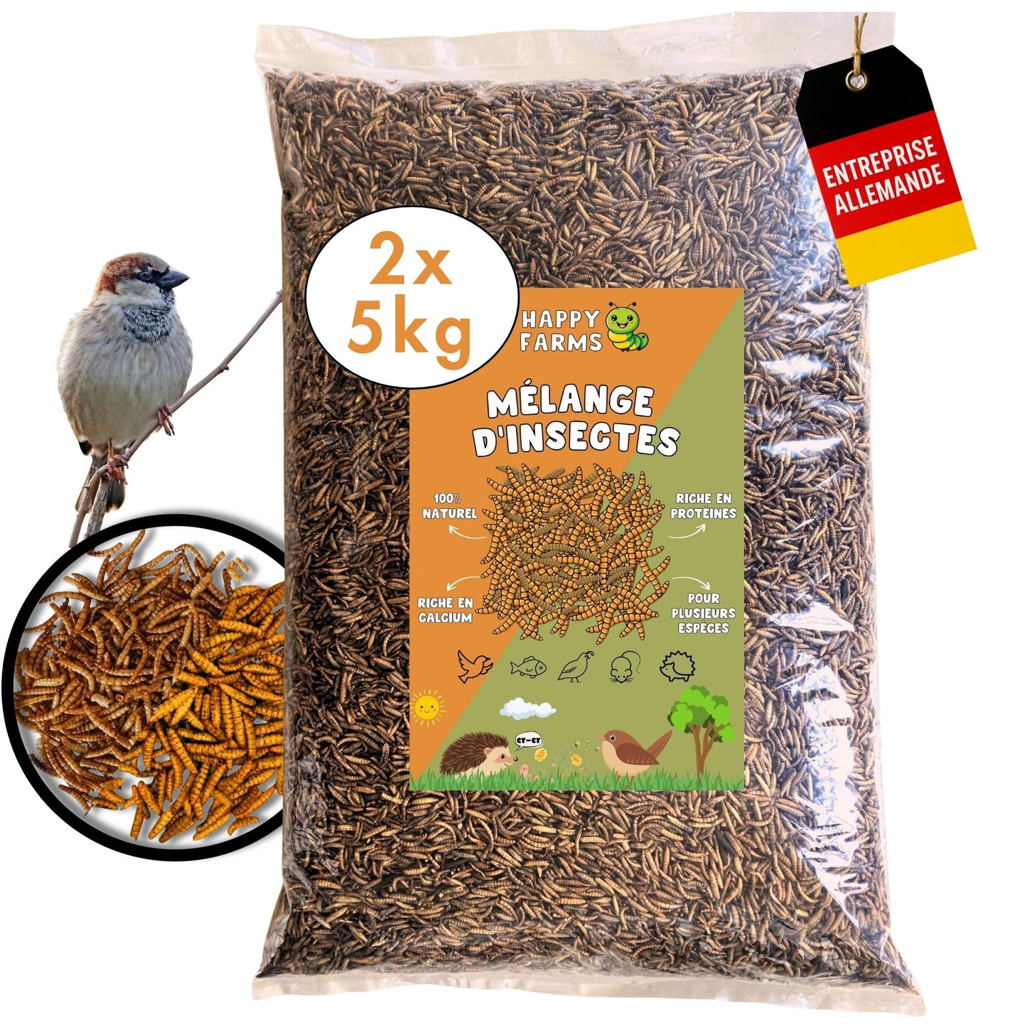 Mélange d'insectes