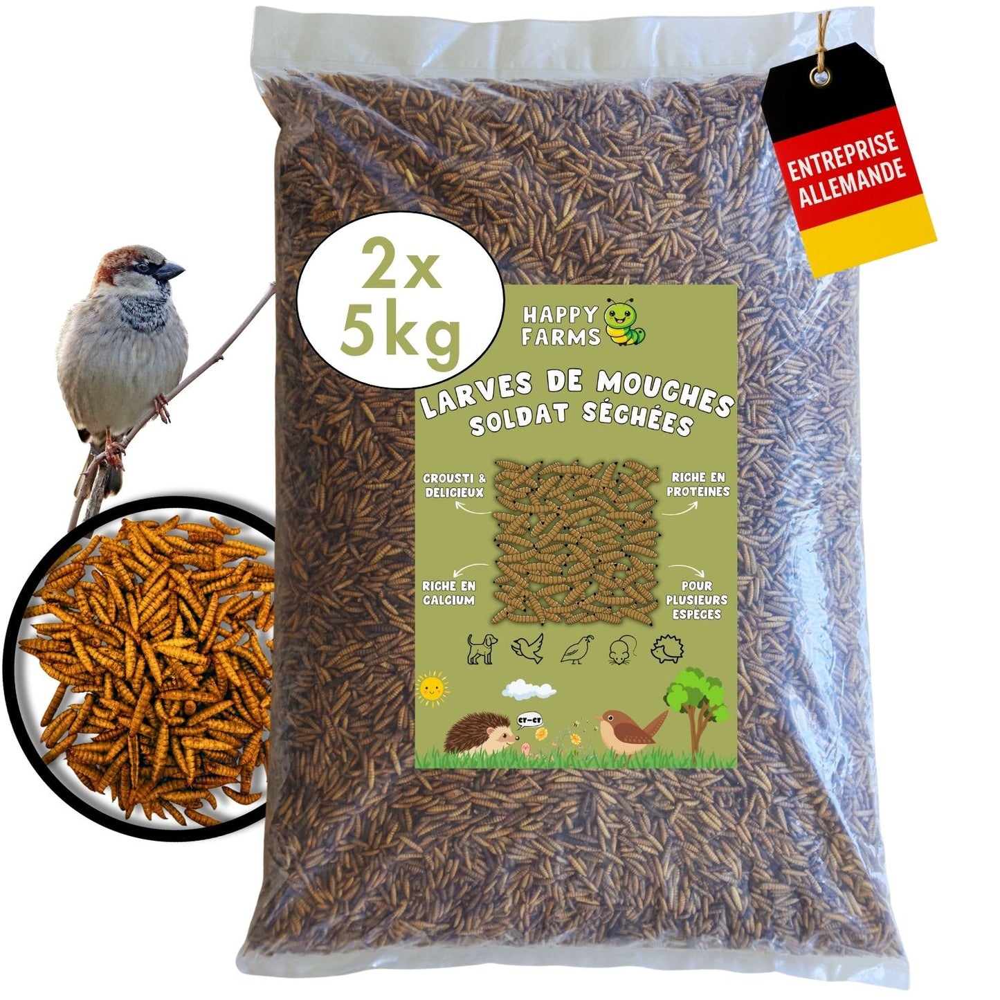 10kg Larves de mouches