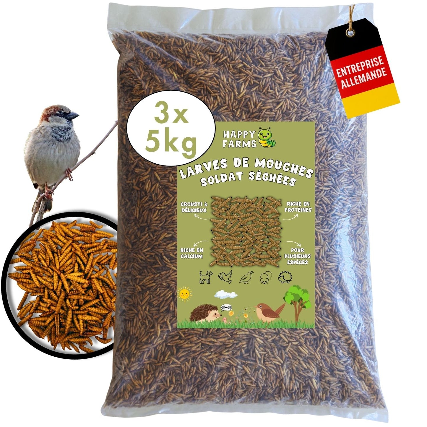 15kg Larves de mouches