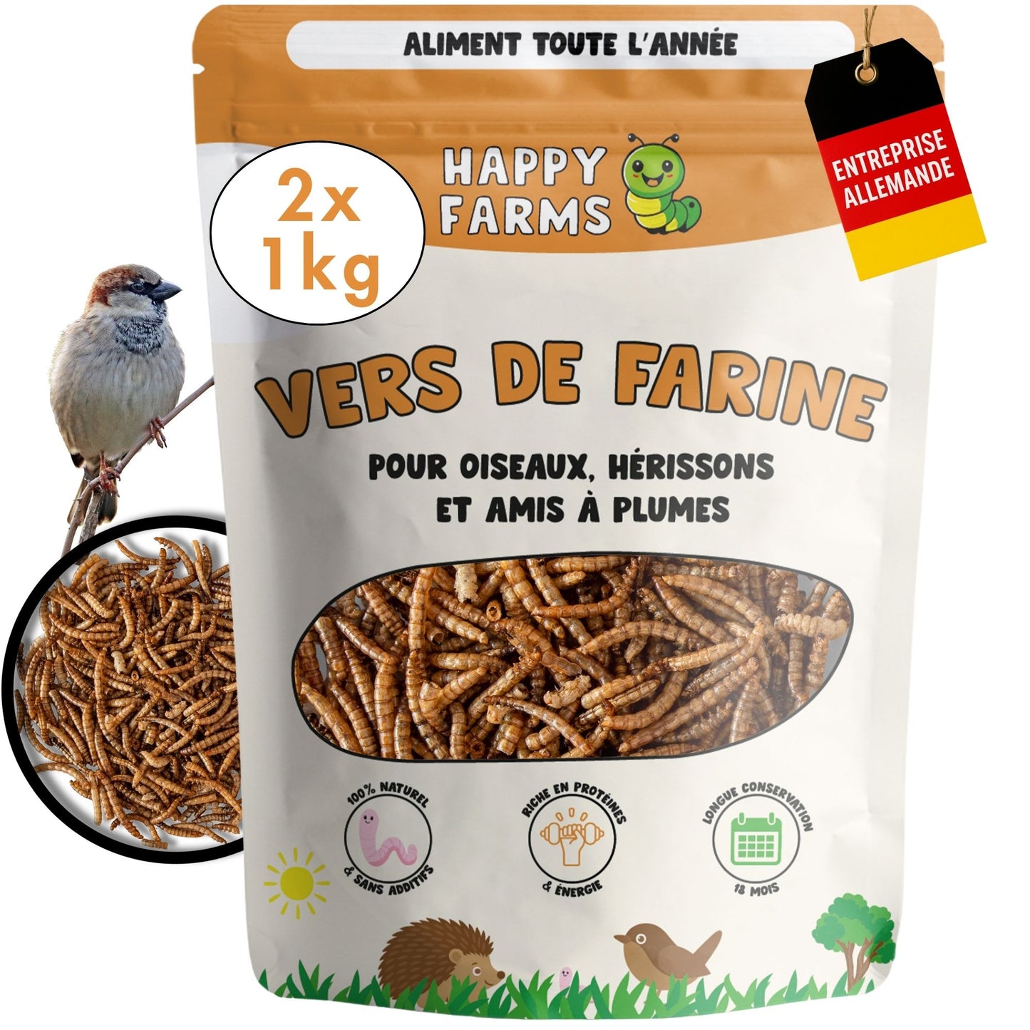 Vers de farine