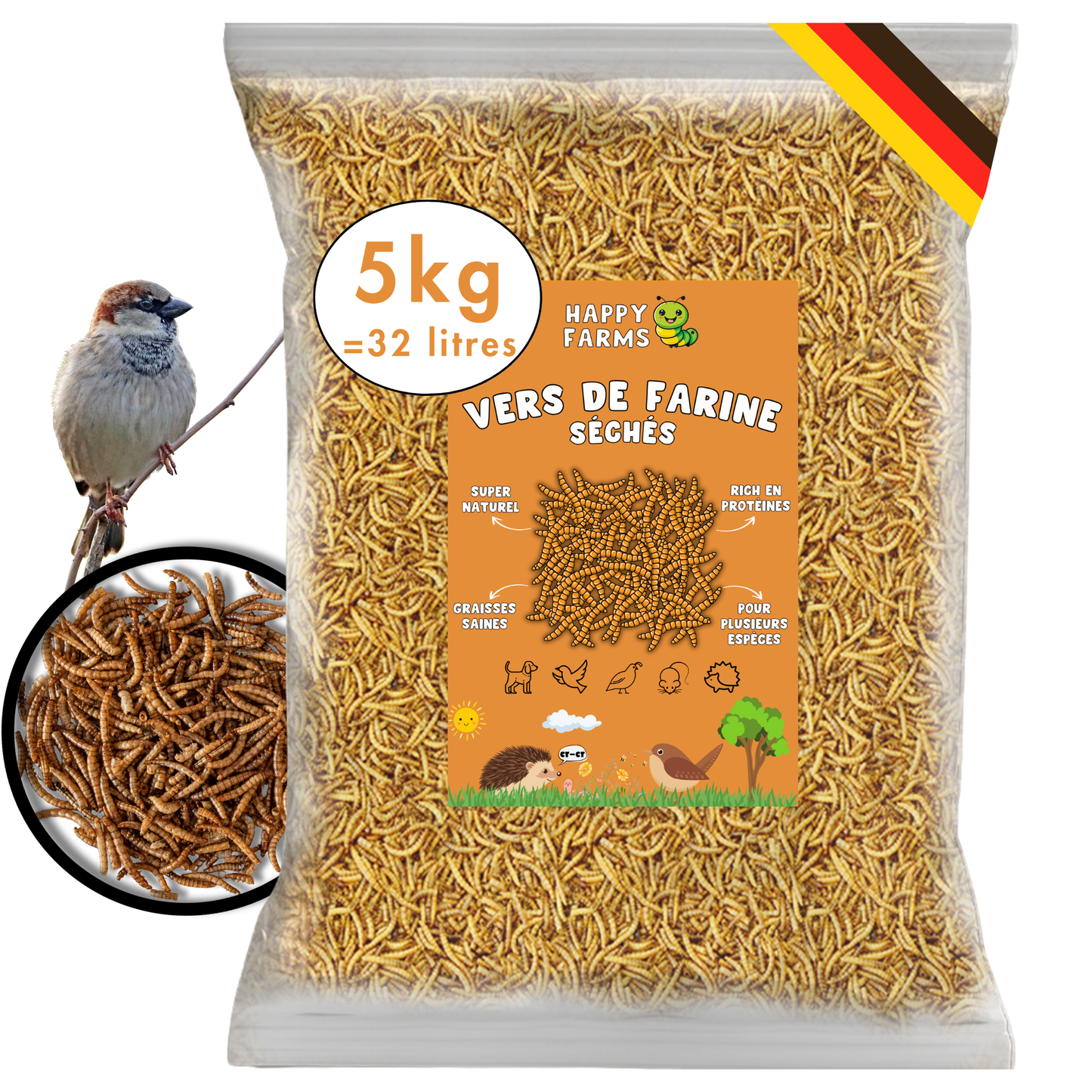 Vers de farine séchés