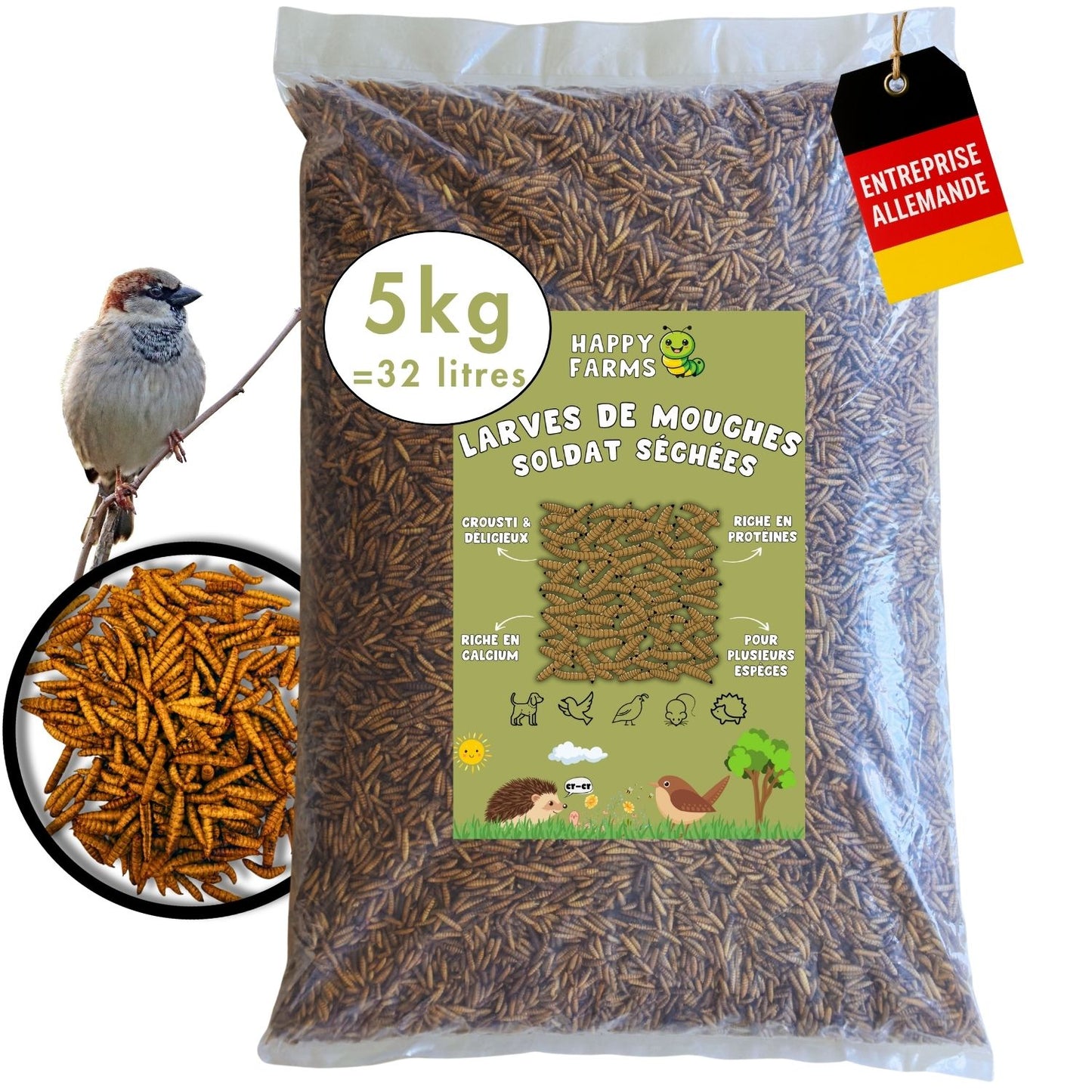 5kg Larves de mouches