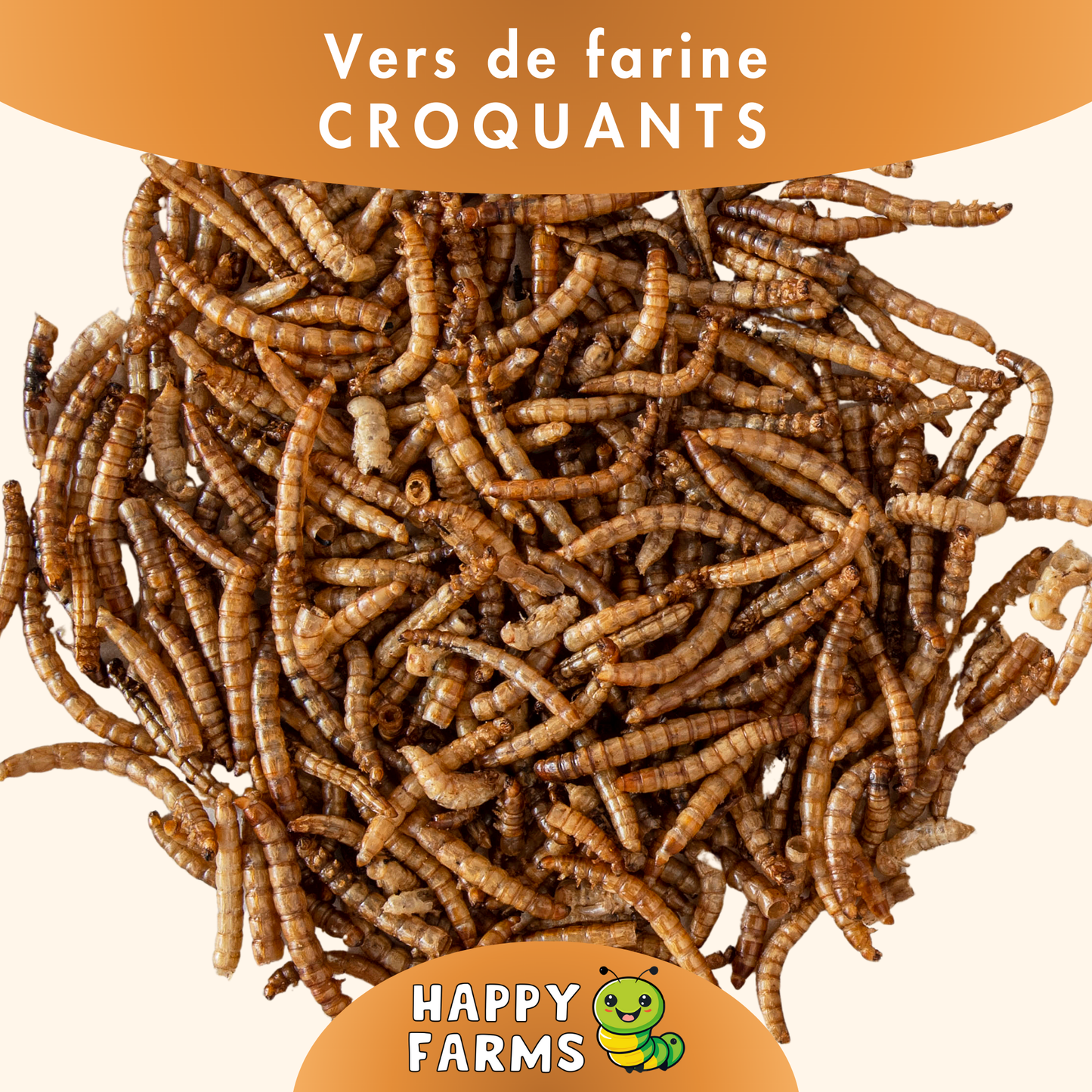 Vers de farine séchés
