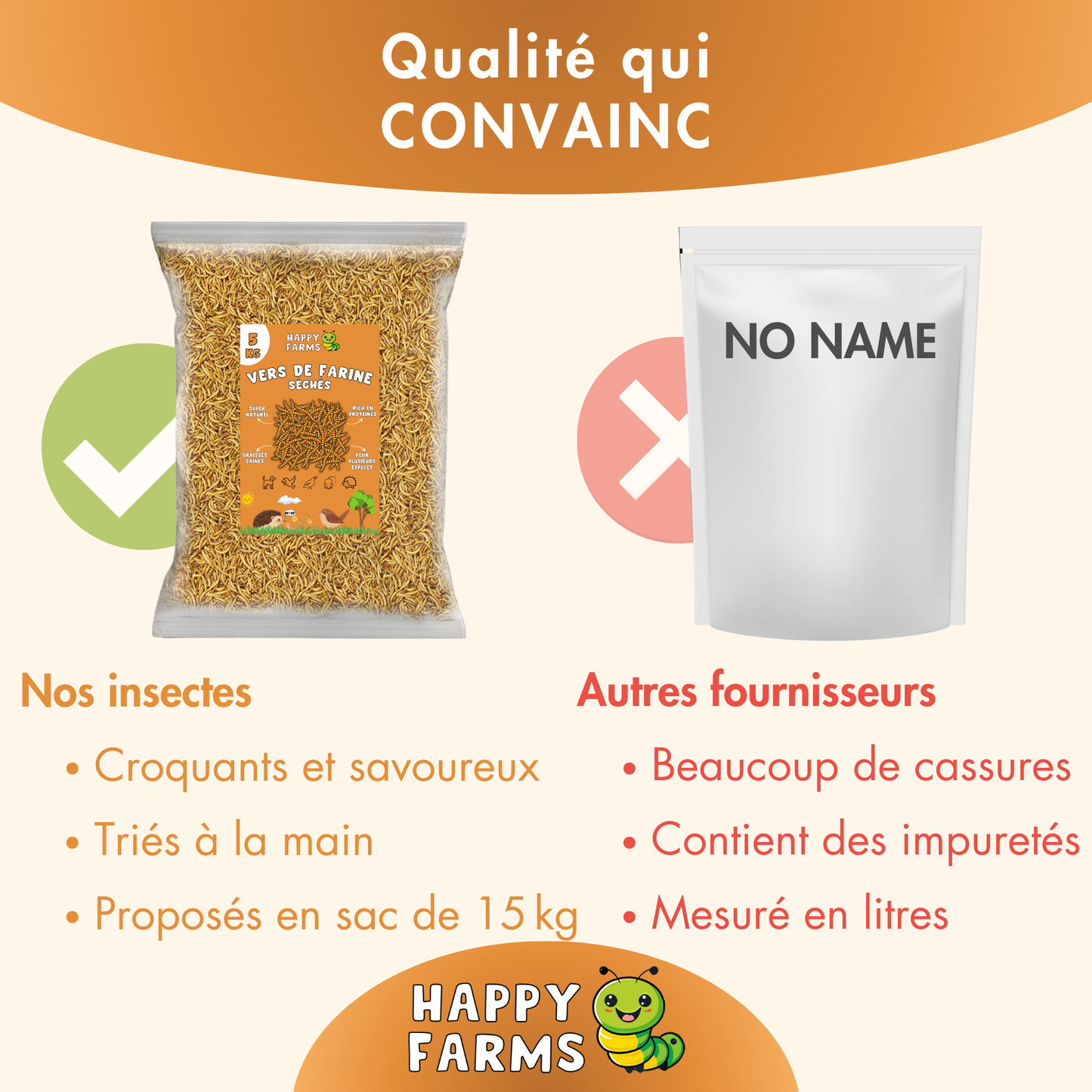 Vers de farine séchés