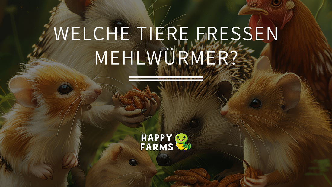 Welche Tiere fressen Mehlwürmer? Ein umfassender Leitfaden