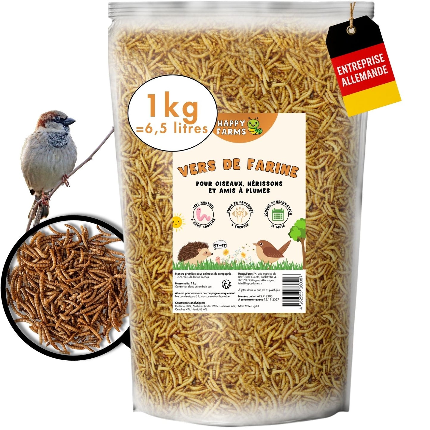 Vers de farine séchés 