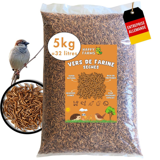 Vers de farine séchés 