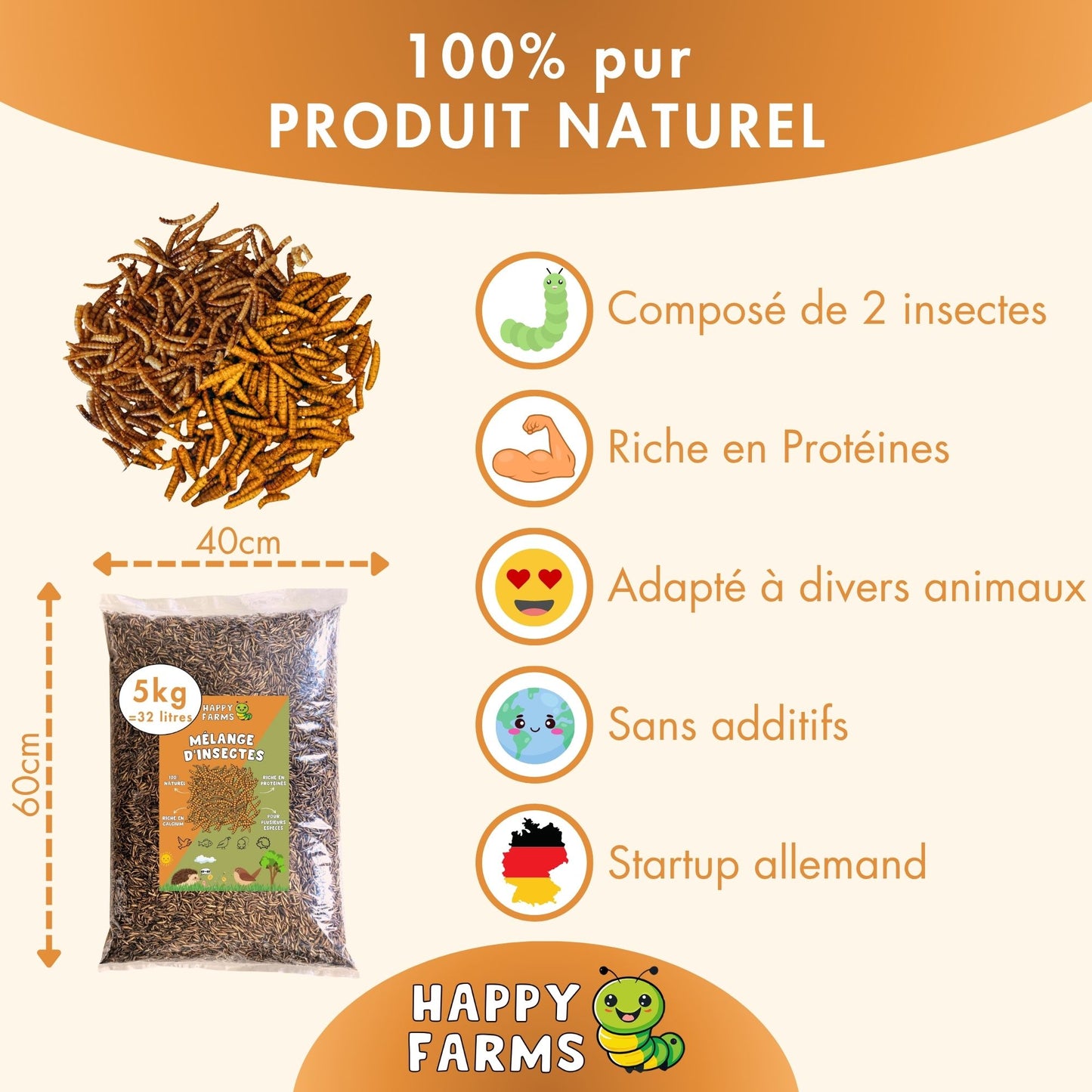 Mélange d'insectes 