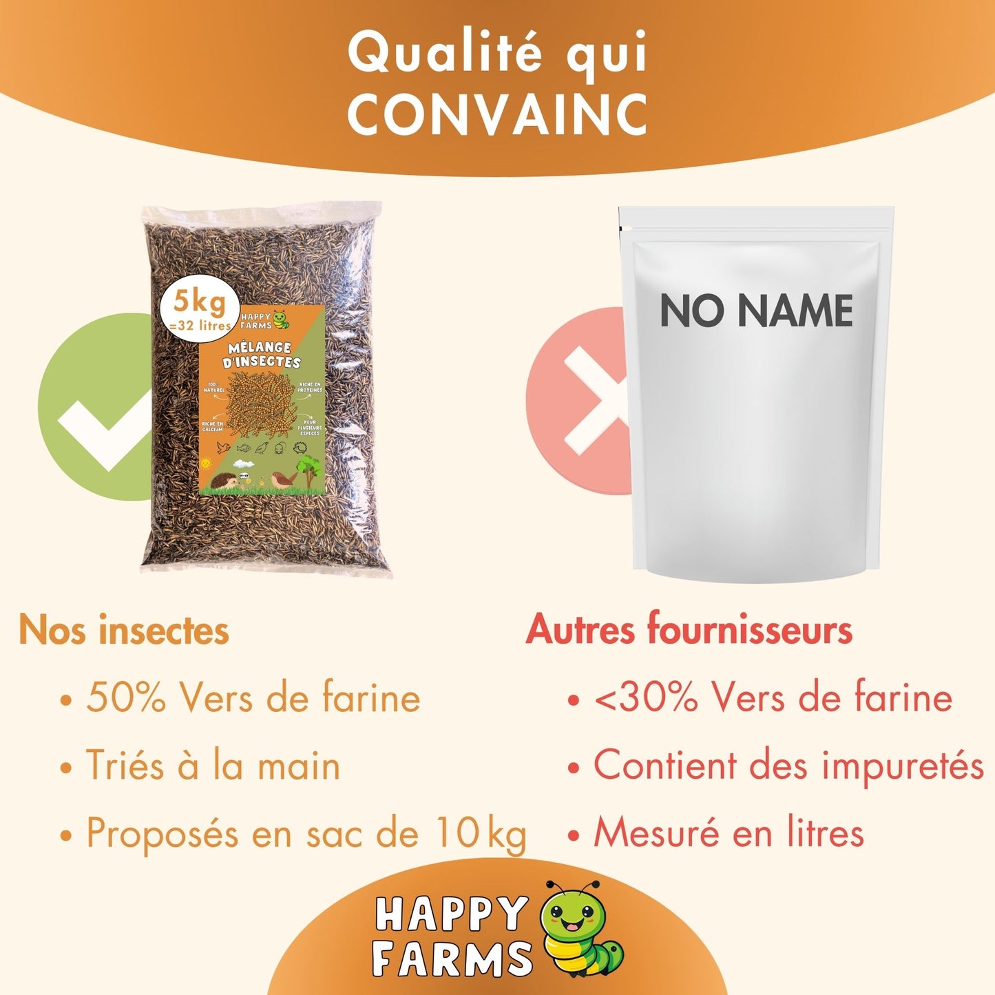 Mélange d'insectes 
