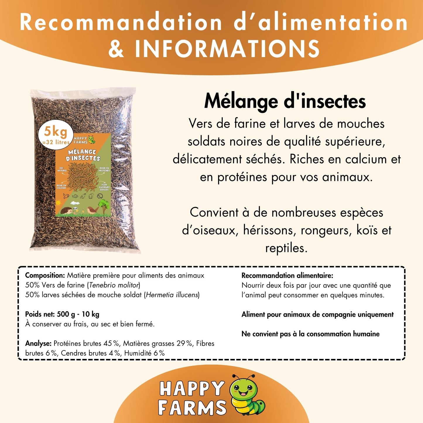 Mélange d'insectes 