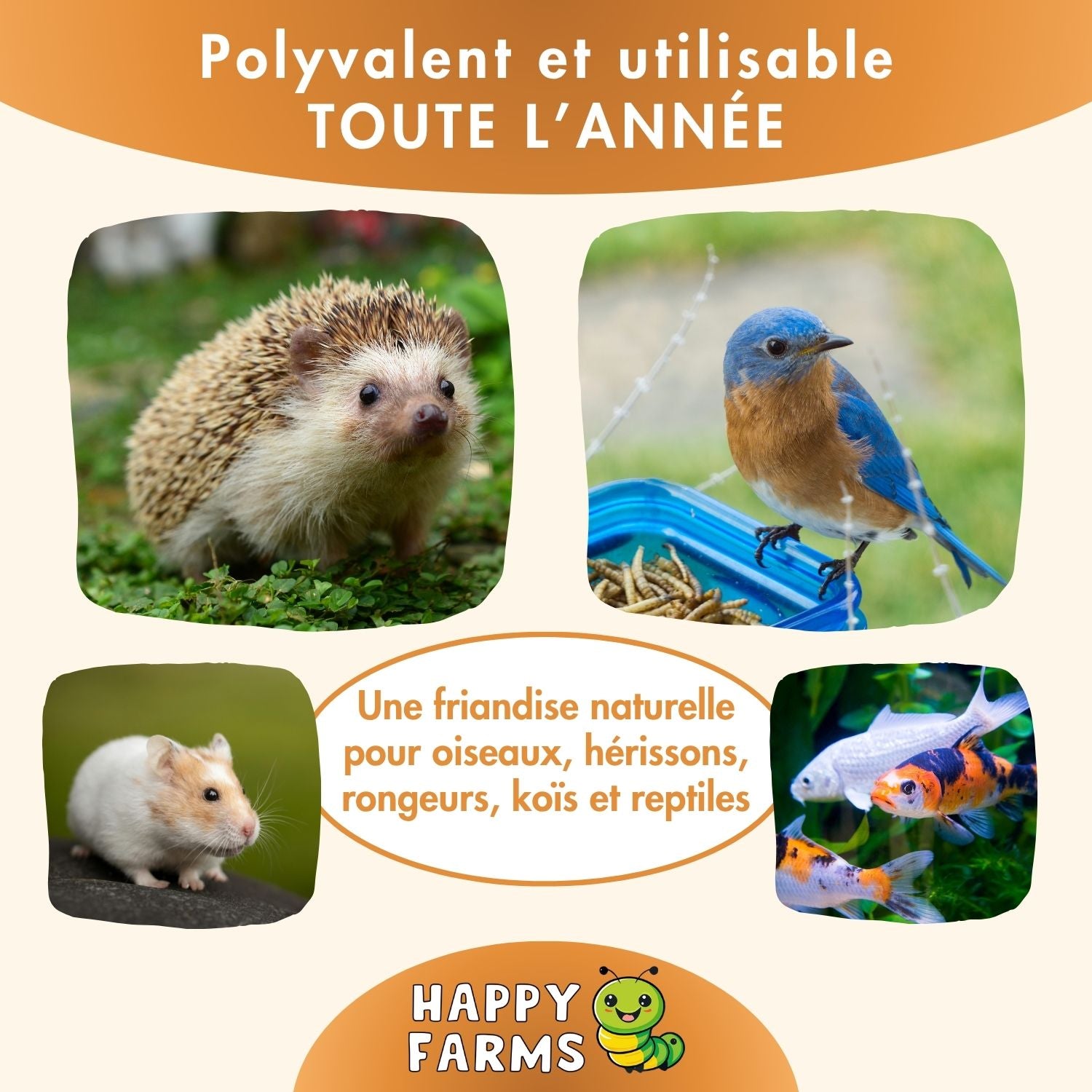 Vers de farine et larves de mouches soldats séchés – source naturelle de protéines et de calcium pour animaux