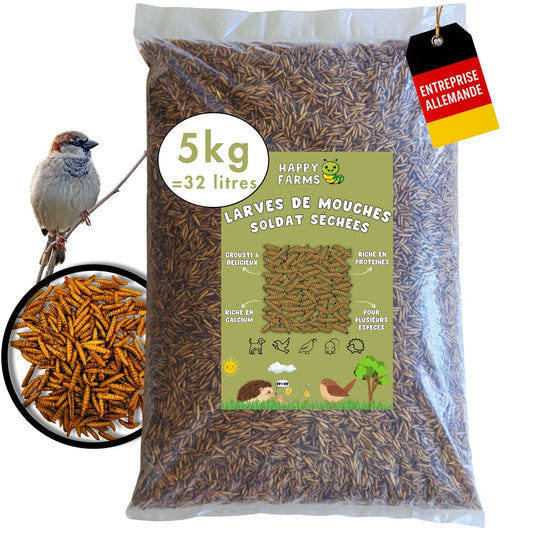 Larves de mouches soldats séchées – aliment naturel pour oiseaux & hérissons