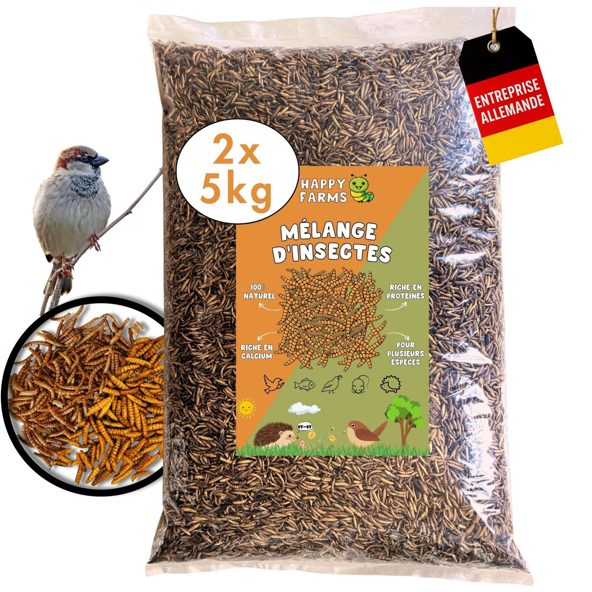 Mélange d'insectes 