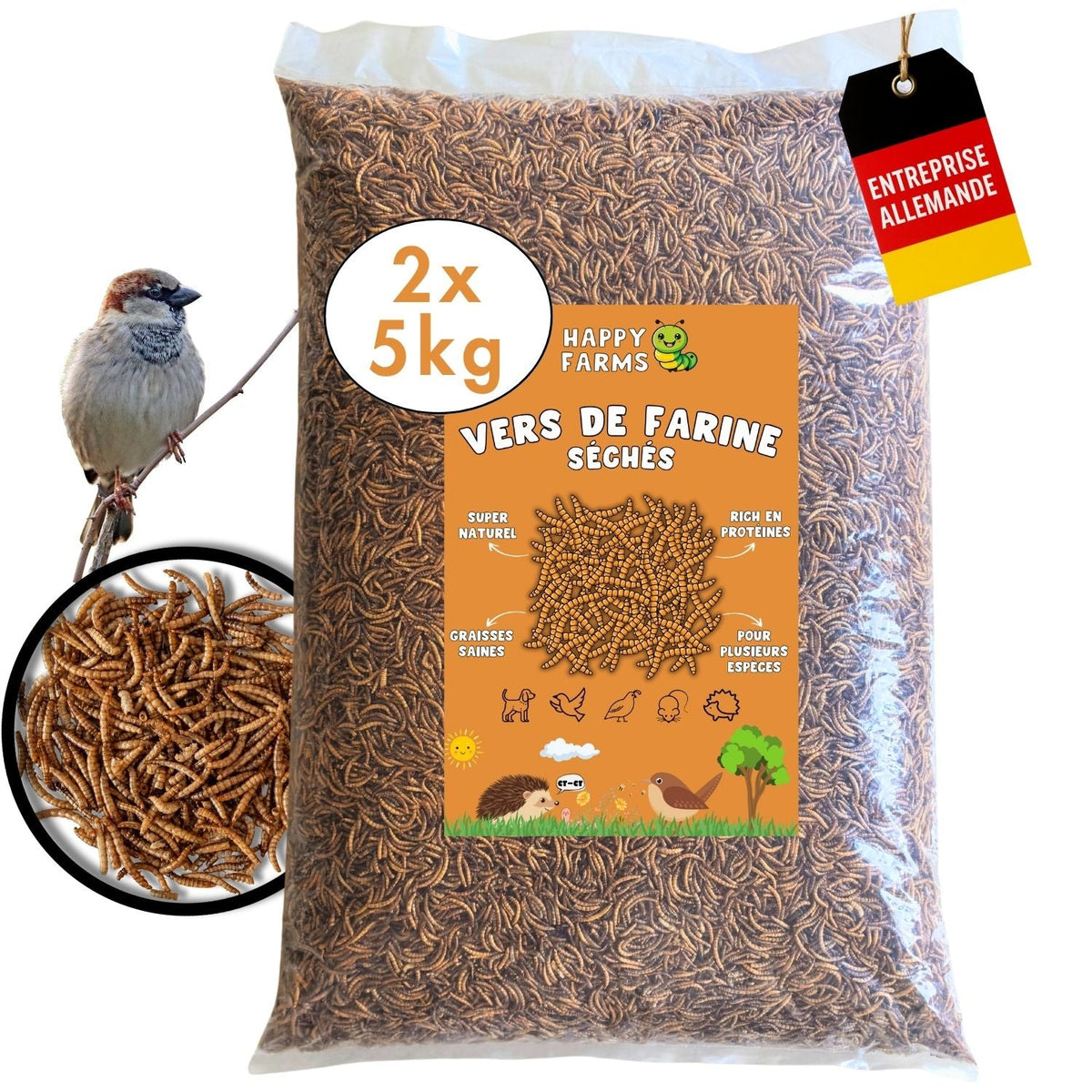 Vers de farine séchés 